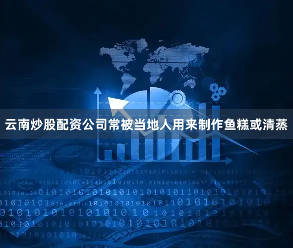 云南炒股配资公司常被当地人用来制作鱼糕或清蒸